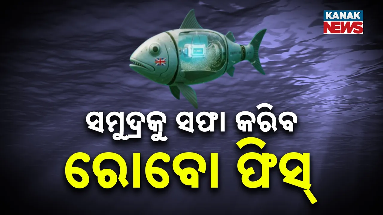  ସମୁଦ୍ରକୁ ସଫା କରିବ ଏହି ରୋବୋ ଫିସ୍, ପ୍ଲାଷ୍ଟିକ୍‌କୁ ଖାଇ ତିଆରି କରିବ ଏନର୍ଜି