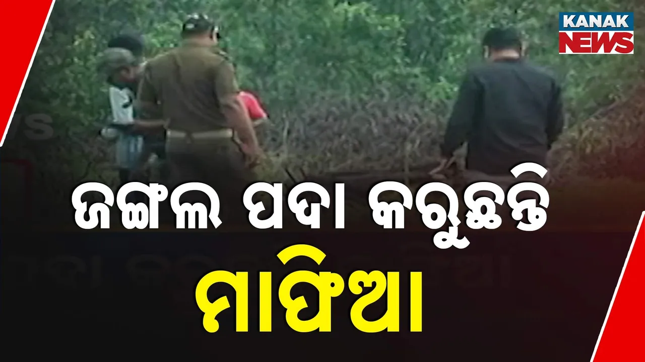  ପୁଣି ଚର୍ଚ୍ଚାରେ ସୁନ୍ଦରଗଡ଼ର ରତନସରା ; କୋଇଲା ନୁହେଁ, ଜଙ୍ଗଲ ଉପରେ ମାଫିଆଙ୍କ ଆଖି