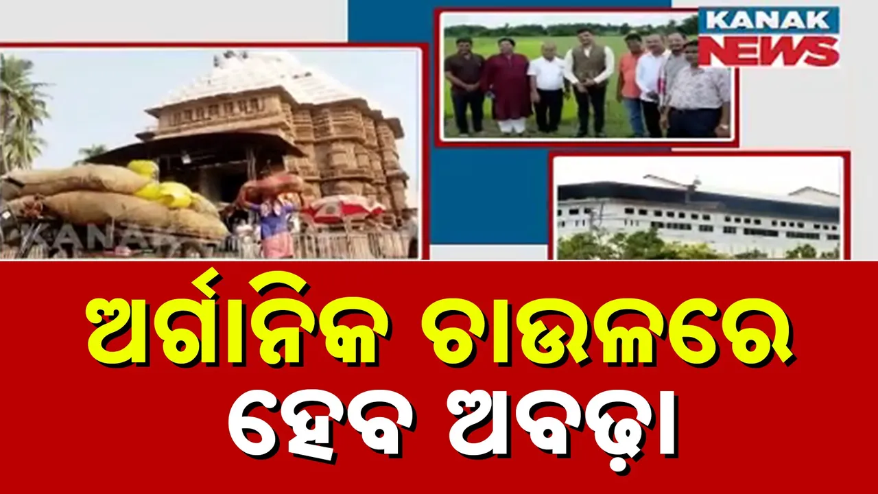  ମହାପ୍ରଭୁଙ୍କୁ ଲାଗିହେବ ଜୈବିକ ଚାଉଳରୁ ପ୍ରସ୍ତୁତ ଅନ୍ନ, ୫ ବର୍ଷିଆ ଯୋଜନା ପ୍ରସ୍ତୁତ କରିଛନ୍ତି ସରକାର