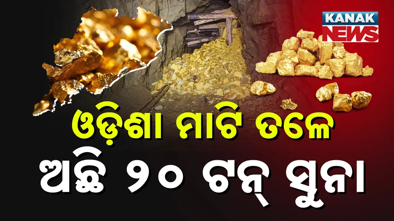  ଓଡ଼ିଶାର ମାଟି ତଳେ ରହିଛି ୨୦ ଟନ୍ ସୁନା , ସ୍ପଷ୍ଟ କଲା ‘ଜିଏସ୍ଆଇ’…