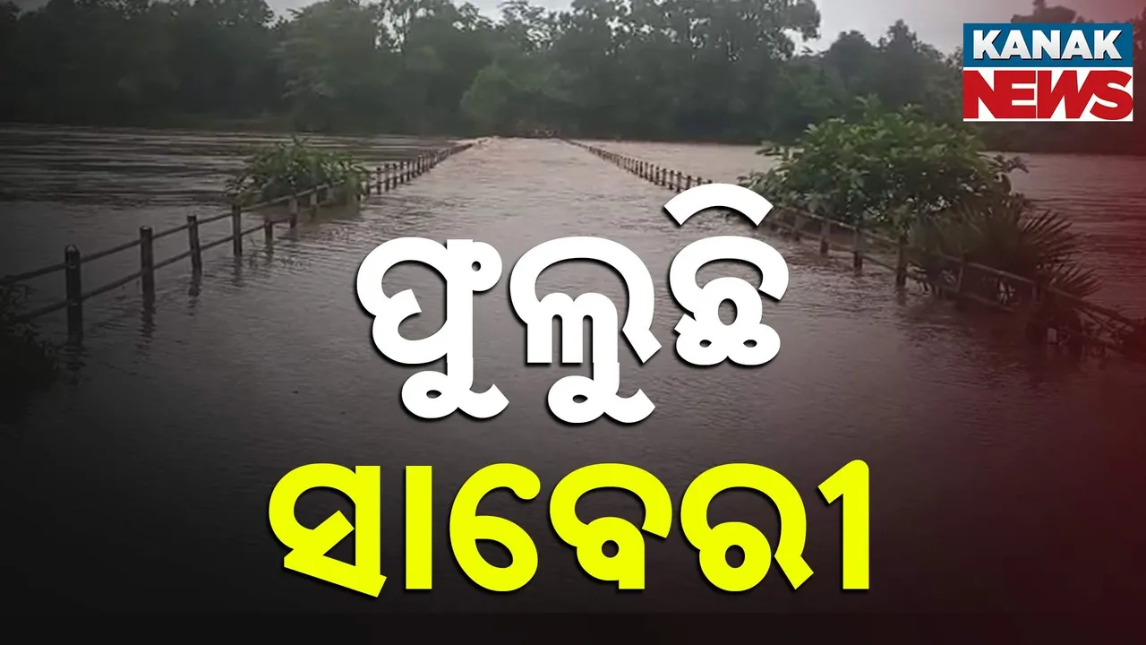  ଫୁଲୁଛି ସାବେରୀ ; ଉବୁଟୁବୁ ମାଲକାନଗିରି