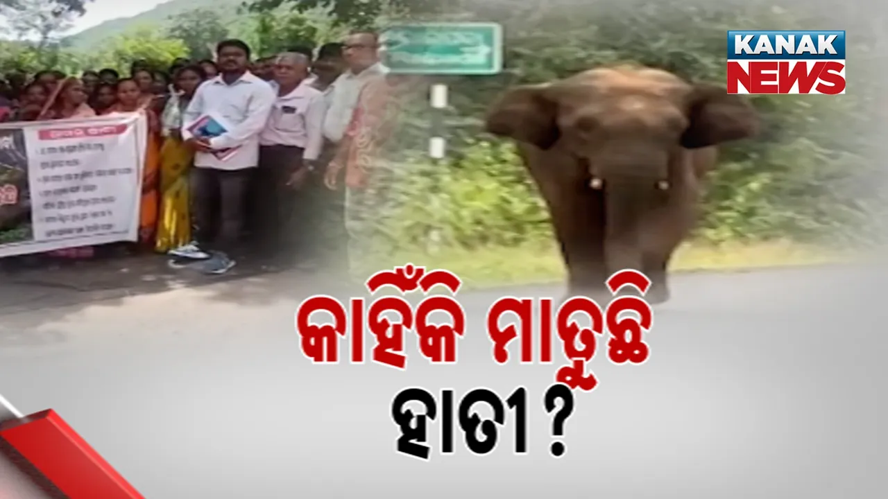 ରାଜ୍ୟରେ ବଢ଼ୁଛି ହାତୀ ଉପଦ୍ରବ, ଘରେ ପଶି କରୁଛନ୍ତି ଭଙ୍ଗାରୁଜା, ଘଉଡ଼ାଇବାକୁ ନାକେଦମ୍ ବନ ବିଭାଗ