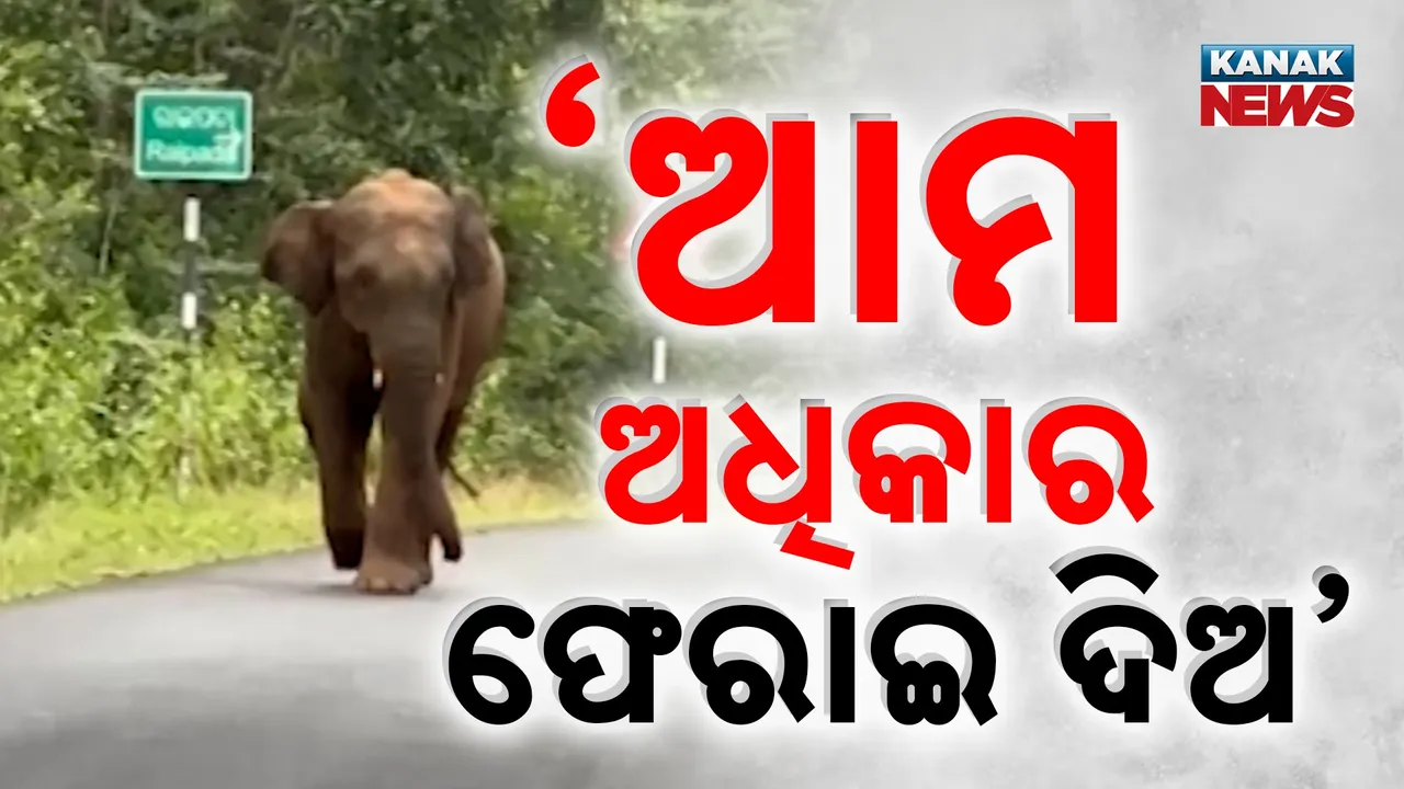  Elephant Photograph: (KanakNews) 