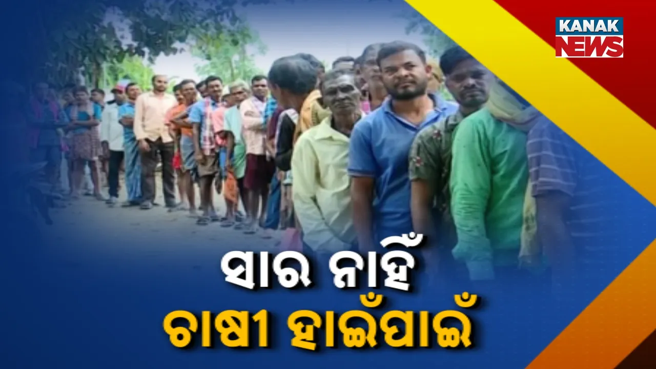  ରାଜ୍ୟରେ ସାରର ଘୋର ସଙ୍କଟ ; ହନ୍ତସନ୍ତ ହଜାର ହଜାର ଚାଷୀ