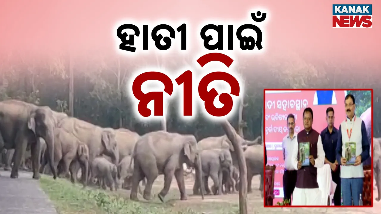  ସରକାରଙ୍କ ହାତୀ ଚିନ୍ତା, ଗଜରାଜଙ୍କ ପାଇଁ ଆସିବ ସ୍ୱତନ୍ତ୍ର ନୀତି
