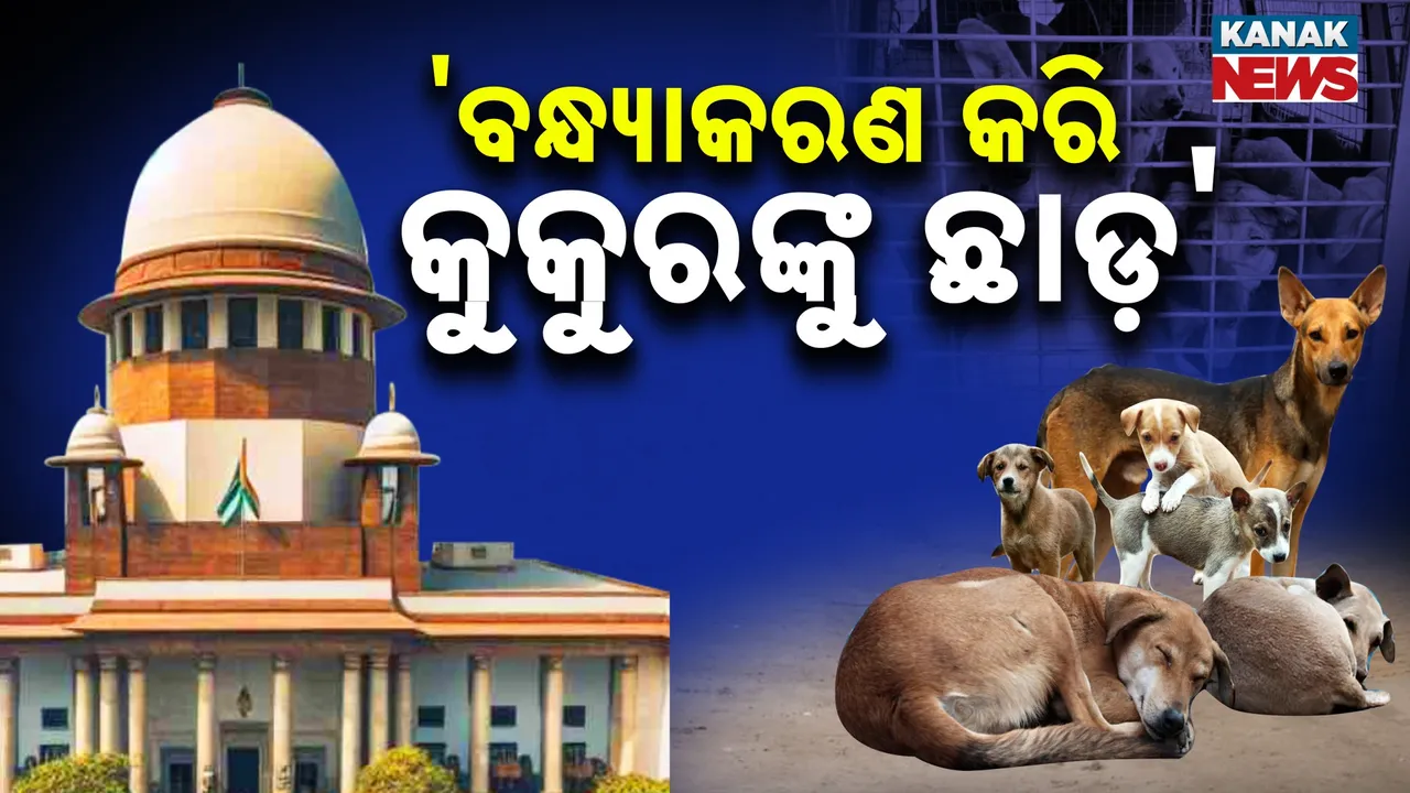  ବୁଲା କୁକୁର ପ୍ରସଙ୍ଗ: ସୁପ୍ରିମକୋର୍ଟଙ୍କ ନିର୍ଦ୍ଦେଶରେ ପରିବର୍ତ୍ତନ, ଟିକାକରଣ ପରେ ସେହି ଅଞ୍ଚଳକୁ ଫେରିପାରିବେ ବୁଲା କୁକୁର