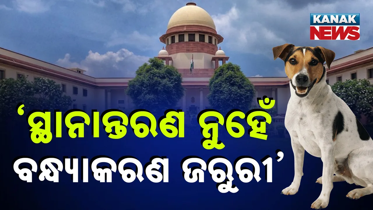  ବୁଲା କୁକୁର ମାମଲାରେ ସୁପ୍ରିମକୋର୍ଟଙ୍କ ବଡ଼ ନିଷ୍ପତ୍ତି: ବନ୍ଧ୍ୟାକରଣ ଓ ଟିକାକରଣ ପରେ ଛାଡ଼ି ଦେବାକୁ ନିର୍ଦ୍ଦେଶ