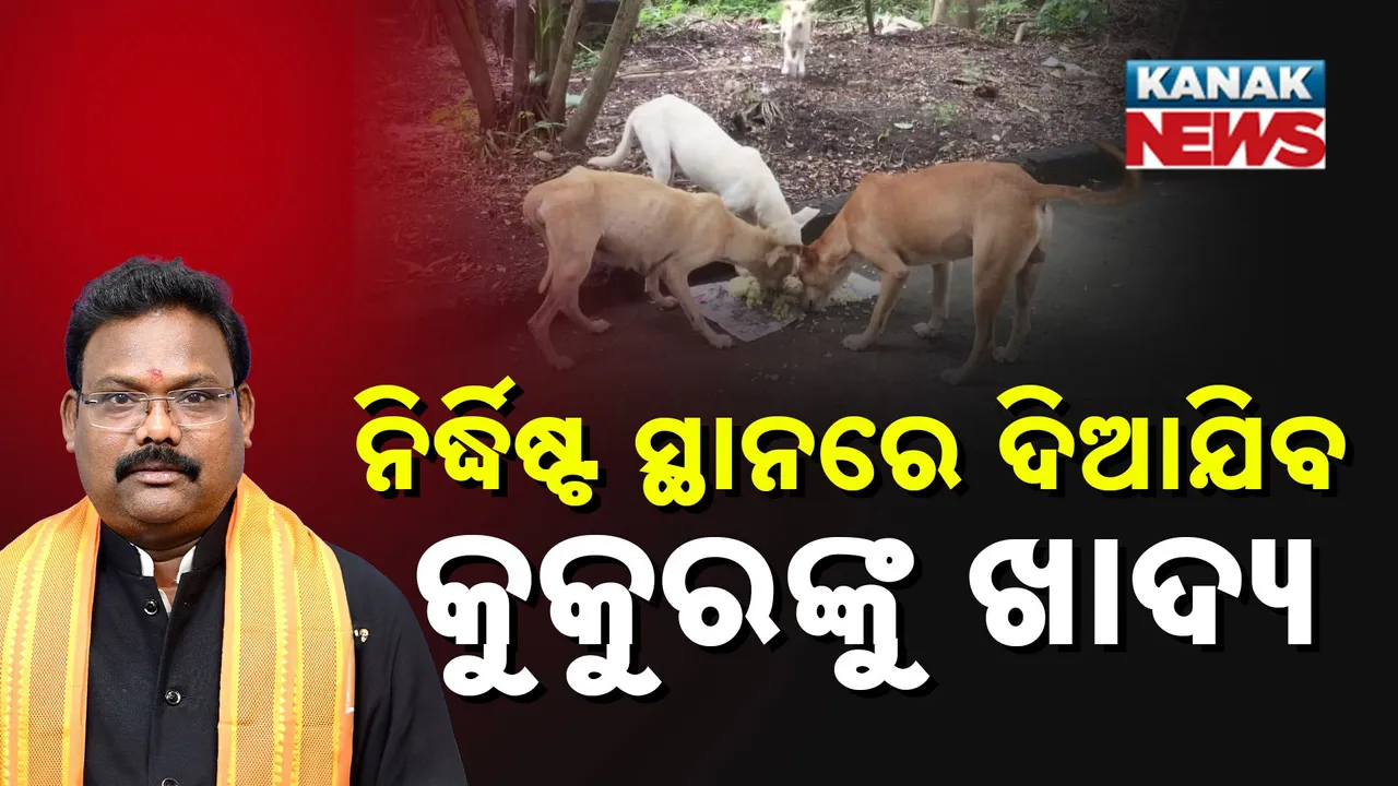  ବୁଲା କୁକୁର ପ୍ରସଙ୍ଗରେ ମତ୍ସ ଓ ପ୍ରାଣୀ ସମ୍ପଦ ମନ୍ତ୍ରୀଙ୍କ ପ୍ରତିକ୍ରିୟା :  କୁକୁରଙ୍କୁ ନିର୍ଦ୍ଧିଷ୍ଟ ସ୍ଥାନରେ ଖାଇବାକୁ ଦେବାକୁ  କଲେ ନିବେଦନ