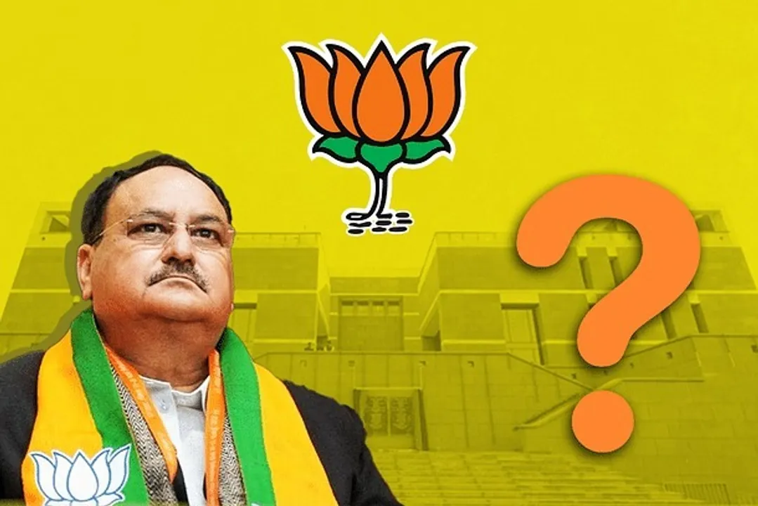  BJP Photograph: (Google) 