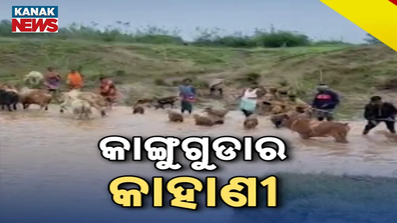  ଜଳବନ୍ଦୀ ଜୀବନ କାଟୁଛନ୍ତି କୋରାପୁଟବାସୀ ; ଜରୁରୀକାଳୀନ ଚକିତ୍ସା ପାଇଁ ରୋଗୀ ହଟହଟା