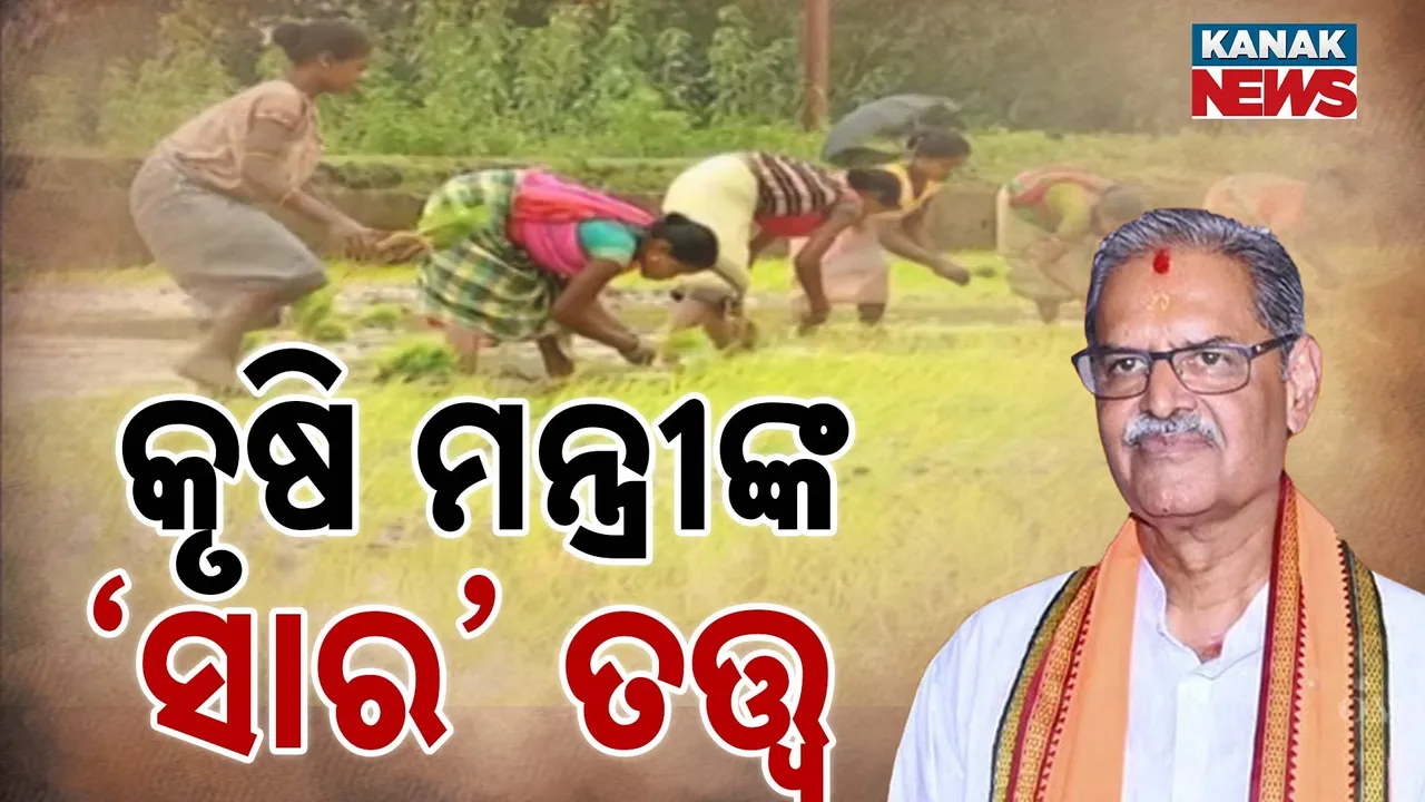  ଧାନ ବଢ଼ିବାକୁ ସାର ନାହିଁ, ରାତିସାରା ଧାଡ଼ିରେ ଚାଷୀ
