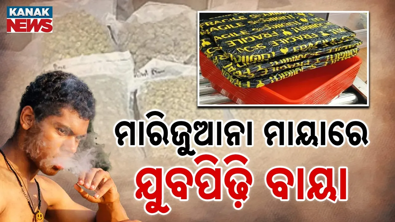  ମାରିଜୁଆନା ମାୟାରେ ବାୟା ଯୁବପିଢ଼ି, କୋଟିଏ ଟଙ୍କିଆ ନିଶା ଡେଲିଭରି ଦେଉଛନ୍ତି ପଞ୍ଜାବୀ ସୁନ୍ଦରୀ