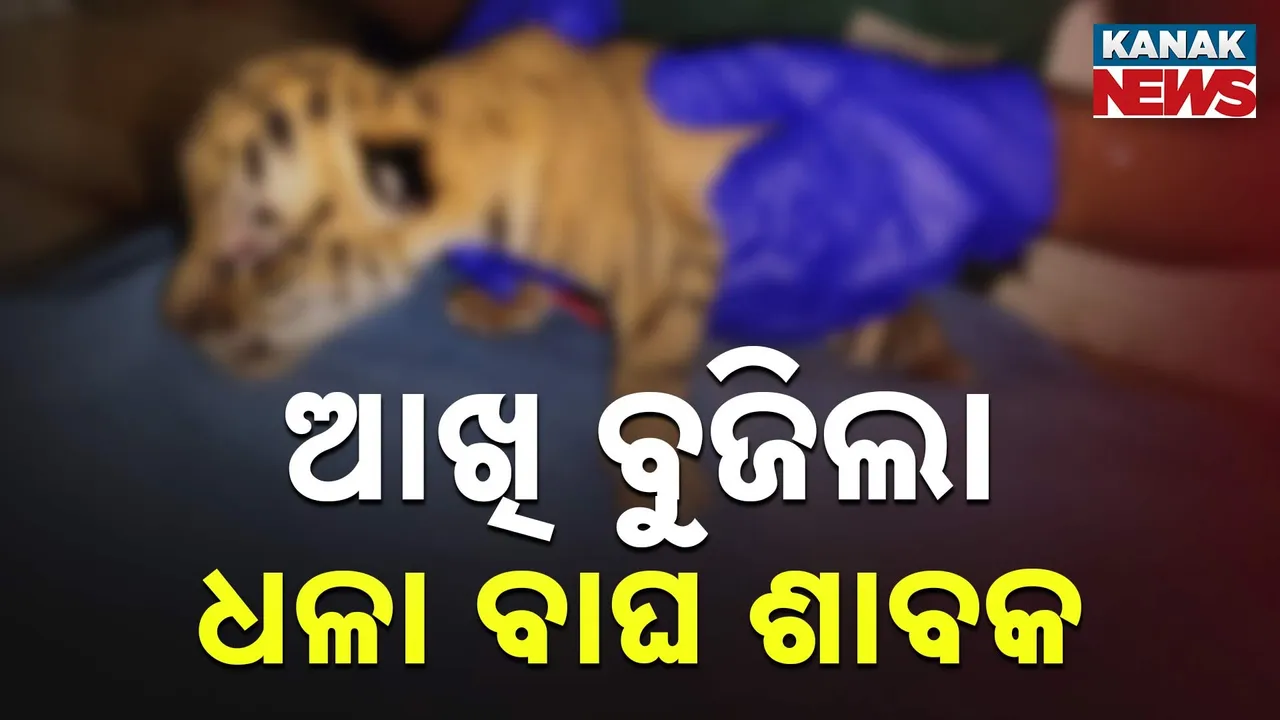  Photograph: (kanak news) 