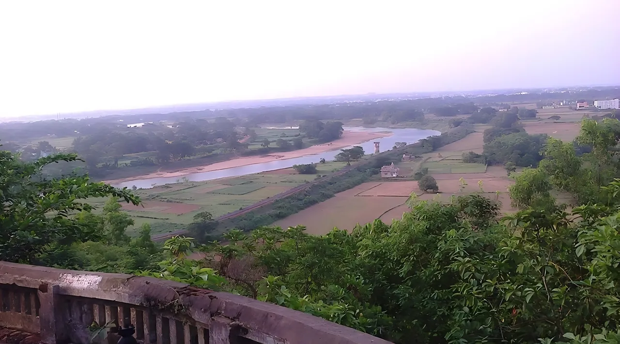  ଦୂଷିତ ଦୟା ନଦୀର ପାଣି, ଫାଇଲରେ ବନ୍ଦ ଗଙ୍ଗୁଆ ଜଳ ବିଶୋଧନ