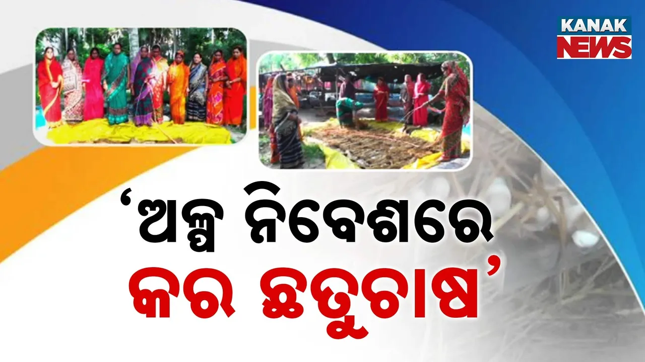  ‘ଅଳ୍ପ ନିବେଶରେ କର ଛତୁଚାଷ’ Photograph: (KanakNews) 