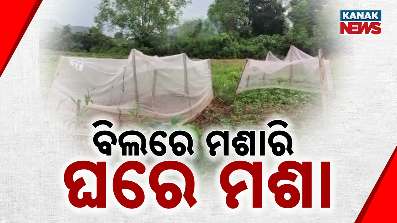  Rayagada Photograph: (KanakNews) 