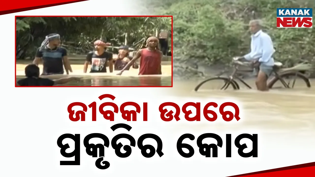  ଜୀବନ ଜୀବିକା ଉପରେ ପ୍ରକୃତିର କୋପ, ସୁବର୍ଣ୍ଣରେଖା ବନ୍ୟାରେ ଭୋଗରାଇ ଅଞ୍ଚଳରେ ଶହ ଶହ ହେକ୍ଟର ଧାନ ଚାଷ ନଷ୍ଟ