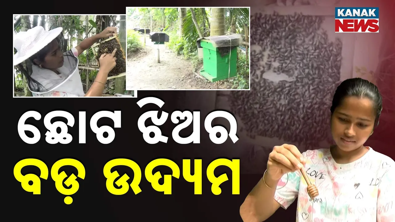  ଛୋଟ ଝିଅର ବଡ଼ ଉଦ୍ୟମ Photograph: (KanakNews) 