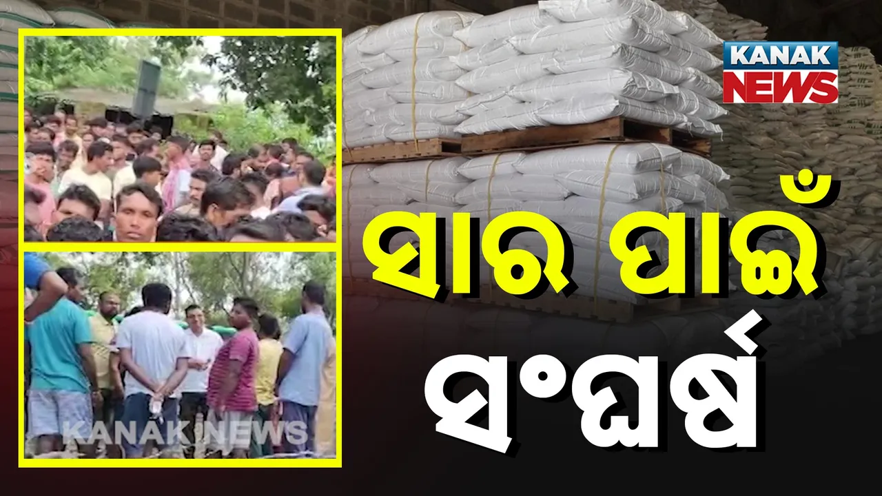  ସାର ପାଇଁ ସଂଘର୍ଷ: ଯୋଗାଣ କେନ୍ଦ୍ର ଆଗରେ ଚାଷୀଙ୍କ ଲମ୍ବା ଲାଇନ, କଳାବଜାରୀ ବଢ଼ାଇଲା ଚିନ୍ତା