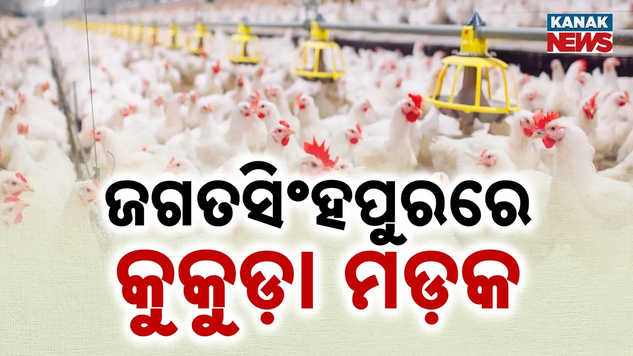  Photograph: (kanak news) 