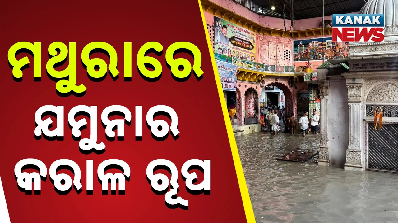  ମଥୁରାରେ ଯମୁନାର କରାଳ ରୂପ Photograph: (KanakNews) 