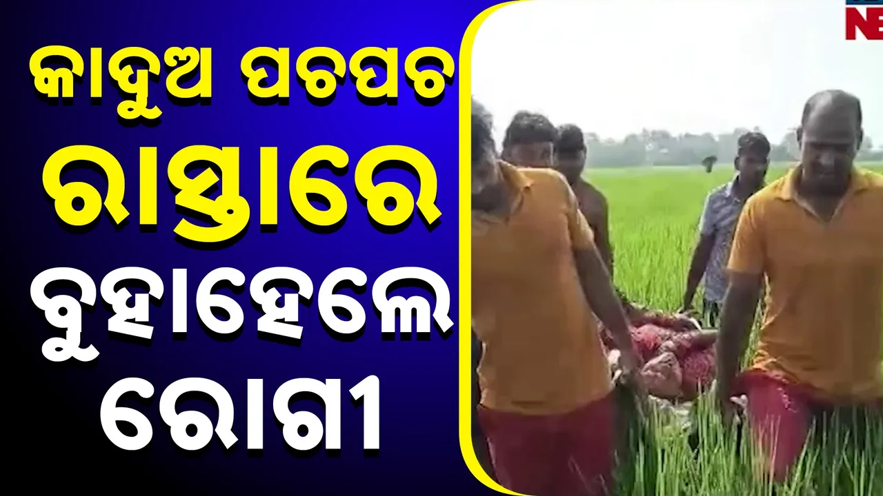  ଭାରାରେ ବୁହାହେଲେ ରୋଗୀ, ନିଆଳିରେ ଦେଖିବାକୁ ମିଳିଛି ଏମିତି ଦୃଶ୍ୟ