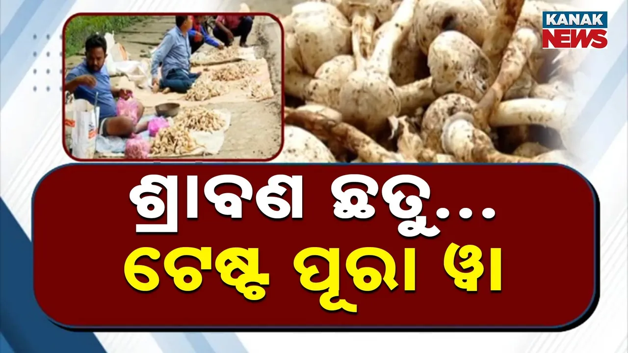  Monsoon Gift Photograph: (Kanak News) 