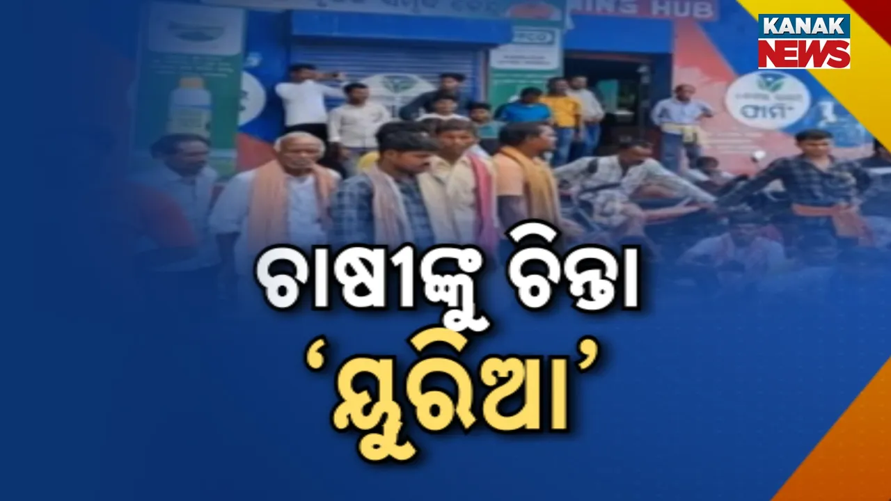  ଚାଷୀଙ୍କୁ ଘାରିଛି ୟୁରିଆ ସାର ଚିନ୍ତା ; ଅଭାବୀ ସାରକୁ ନେଇ ରାସ୍ତା ଅବରୋଧ