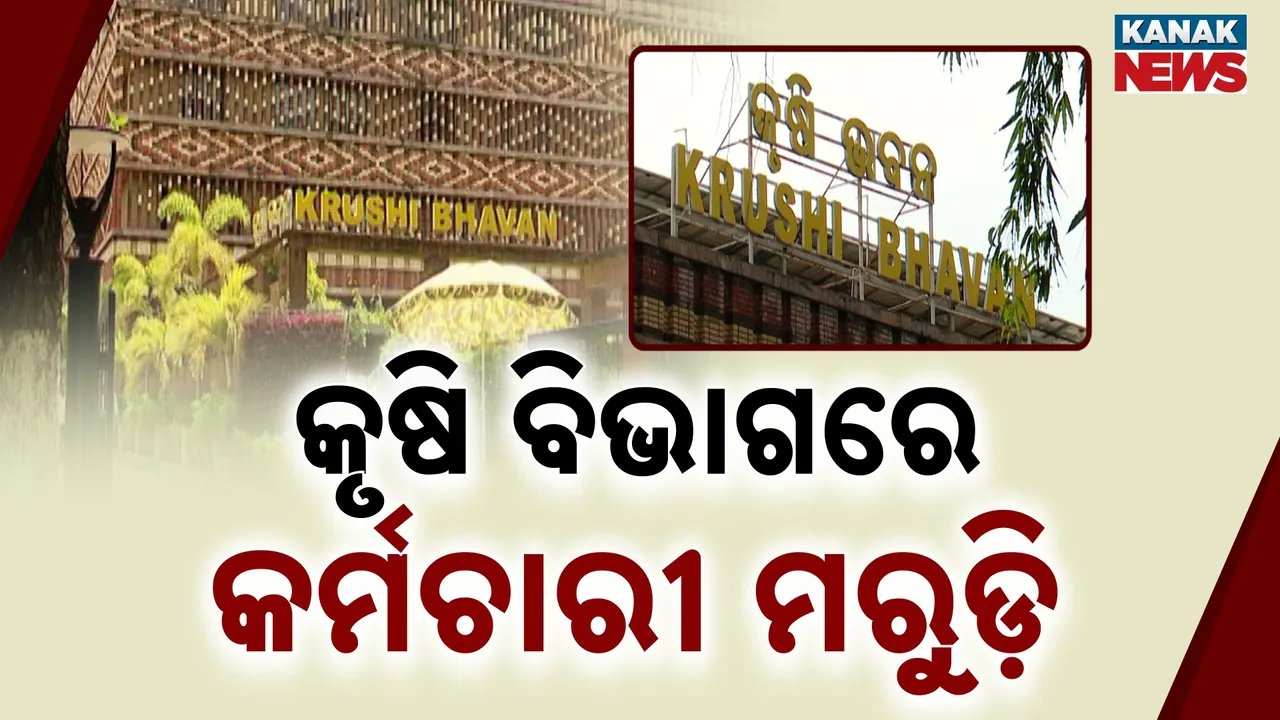  କୃଷି ବିଭାଗରେ ନାହାନ୍ତି କୃଷି ଅଧିକାରୀ, ଚାଷୀଙ୍କ ପାଖରେ ପହଞ୍ଚିପାରୁନି ସରକାରୀ ଯୋଜନା