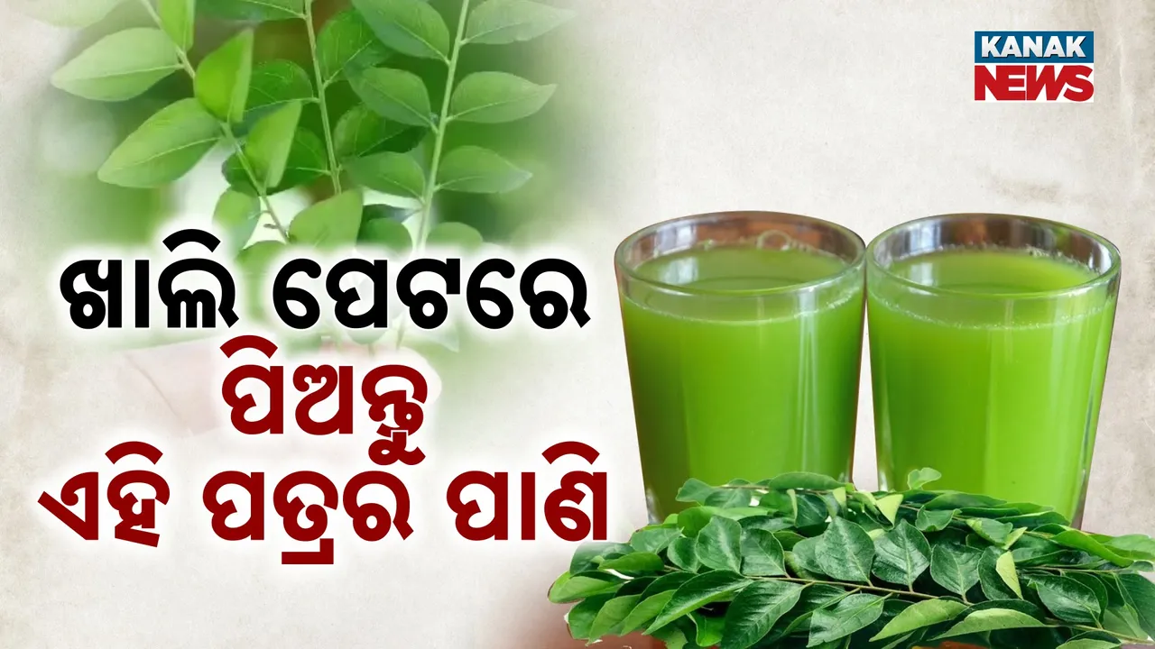  ଖାଲି ପେଟରେ ପିଅନ୍ତୁ ଏହି ପତ୍ରର ପାଣି Photograph: (KanakNews) 