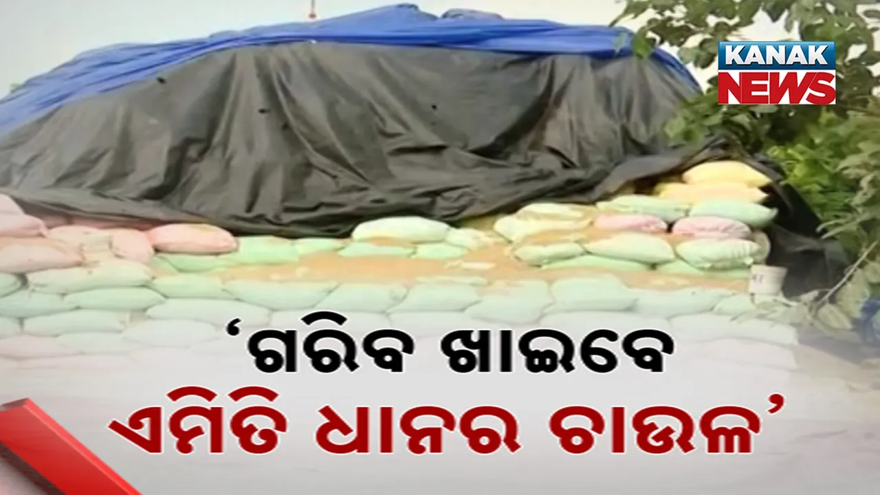  ମିଲ୍‌ ବାହାରେ ଗଡ଼ୁଛି ହଜାର ହଜାର ବସ୍ତା ଧାନ, ତଳେ ପଡ଼ିଛି ଝାଳବୁହା ଧନ
