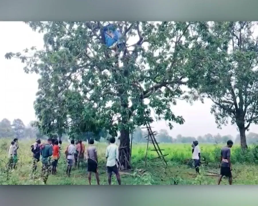  ହାତୀ ଦେଖି ମଞ୍ଚାରୁ ଖସିପଡ଼ିଲେ  ; ଚାଲିଗଲା ଚାଷୀଙ୍କ ଜୀବନ