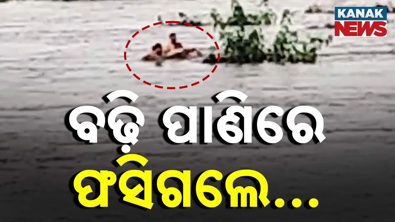  ହଠାତ୍ ମାଡ଼ିଆସିଲା ବଢ଼ିପାଣି ; ନଦୀ ମଝିରେ ଫସିଗଲେ ଦୁଇ ଜଣ