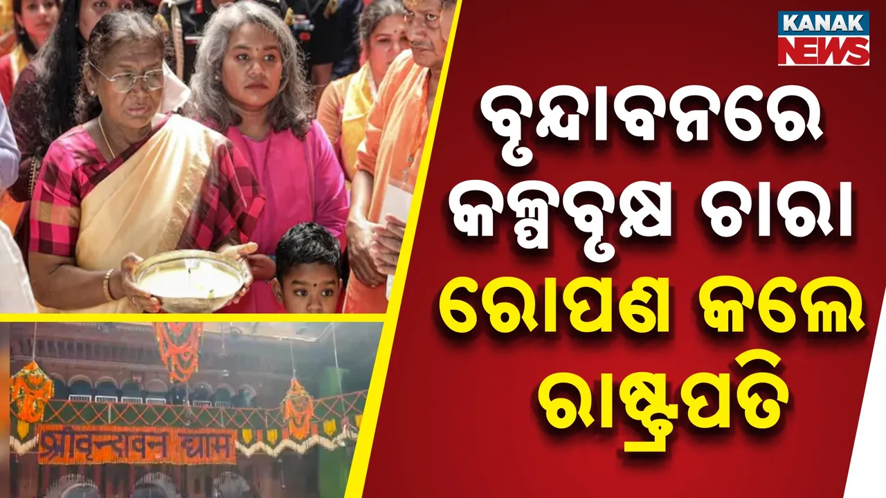  ବୃନ୍ଦାବନରେ ପହଞ୍ଚି ପୂଜାର୍ଚ୍ଚନା କଲେ ରାଷ୍ଟ୍ରପତି ; ପରିବେଶ ସୁରକ୍ଷା ବାର୍ତ୍ତା ଦେଇ କଲେ କଳ୍ପବୃକ୍ଷ ଚାରା ରୋପଣ