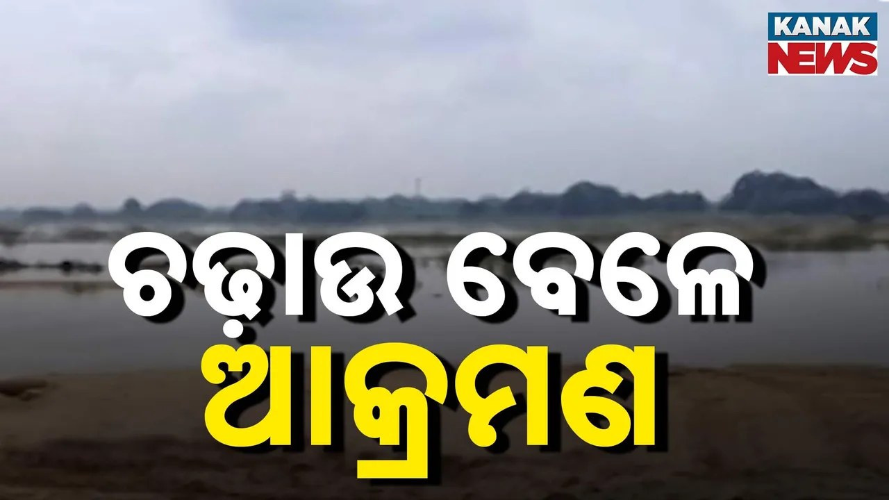  ଚଢ଼ାଉ କରିବାକୁ ଯାଇଥିଲେ , ମାଡ଼ଖାଇ ଫେରିଲେ