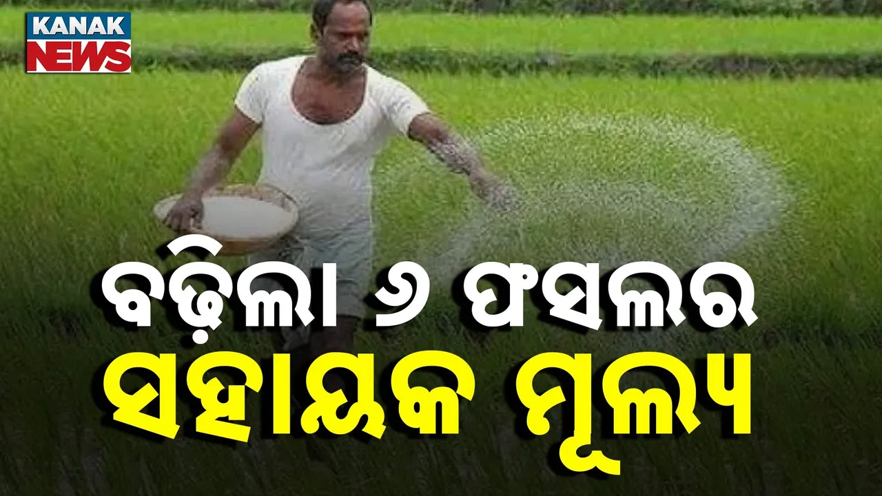  ଦୀପାବଳି ପୂର୍ବରୁ ଚାଷୀଙ୍କ ପାଇଁ ଖୁସି ଖବର ଆଣିଲେ କେନ୍ଦ୍ର ସରକାର, ବଢ଼ିଲା ୬ ଟି ଫସଲର ସହାୟକ ମୂଲ୍ୟ