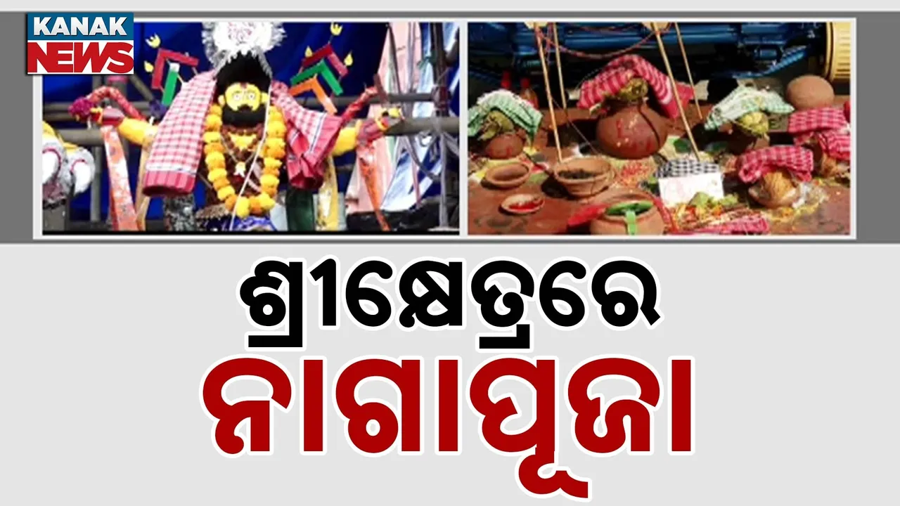  ଶ୍ରୀକ୍ଷେତ୍ରରେ ଗୋସାଣୀ ଯାତ୍ରା ଅବସରରେ ନାଗା ପୂଜା, ବିଭିନ୍ନ ସାହି ଓ ମାଜଣା ଜାଗାରେ ପୂଜା ପାଉଛନ୍ତି ନାଗା ମୂର୍ତ୍ତି