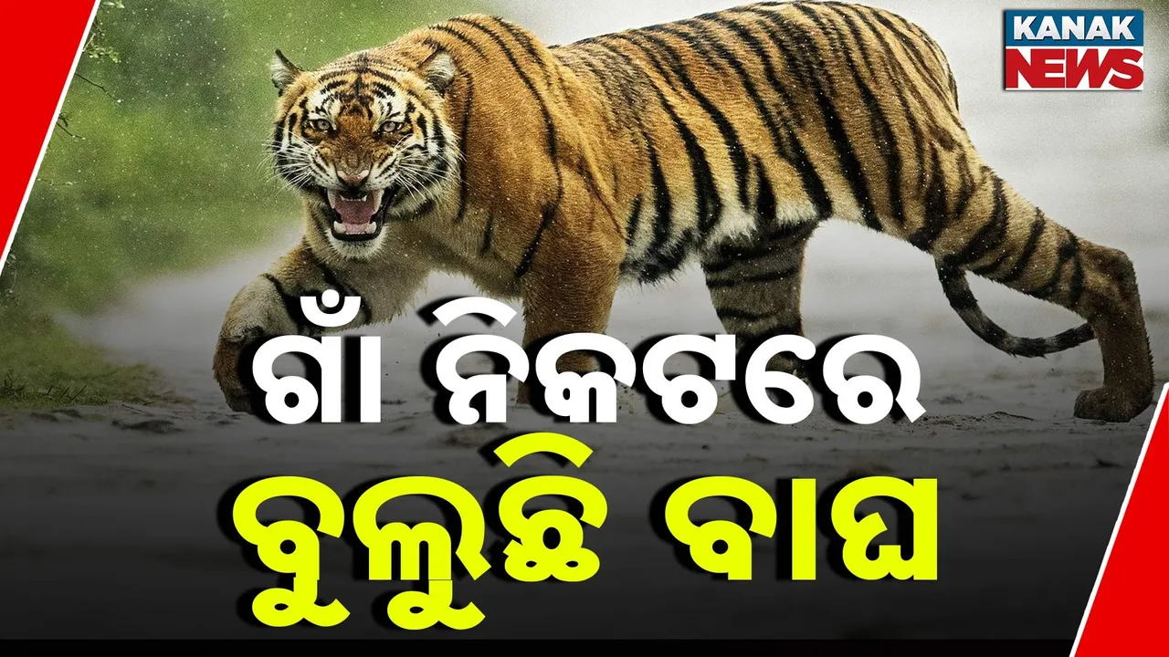  ମାତିଛି ମହାବଳ ; ଘରୁ ବାହାରୁନାହାନ୍ତି ଛେଣ୍ଡିପଦା କଙ୍କୁରପାଳ ଗାଁ ଲୋକ