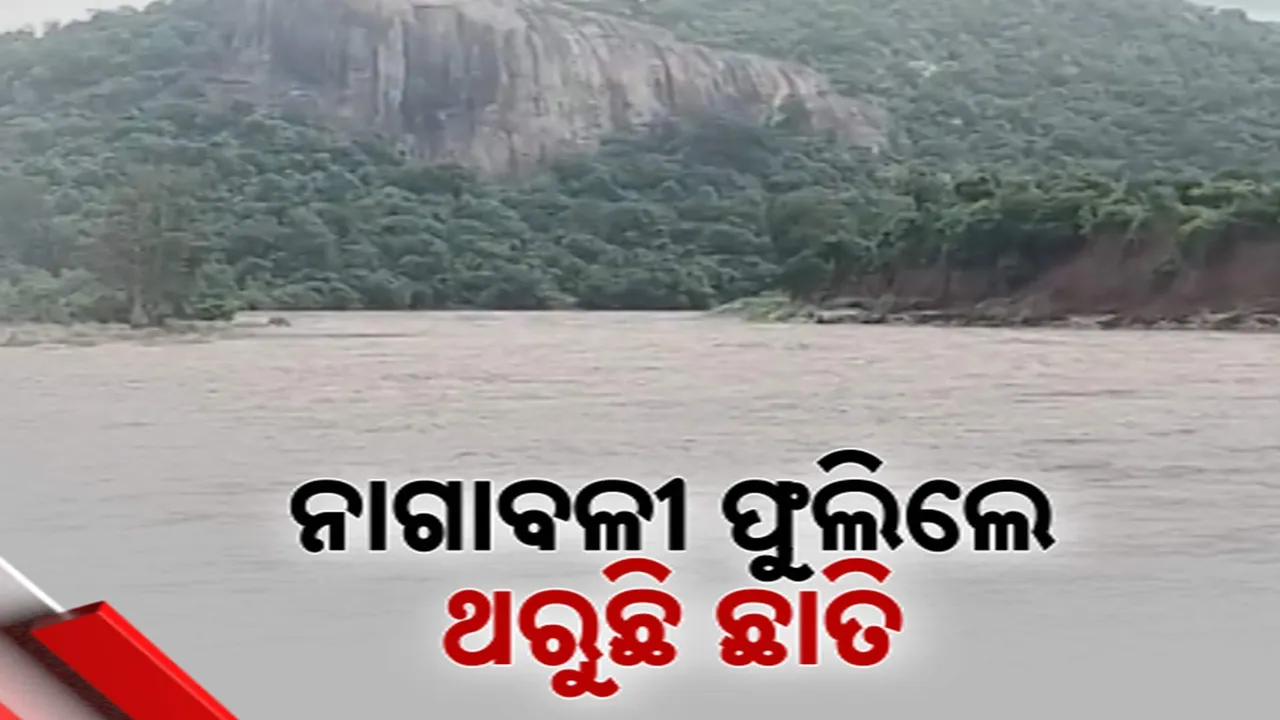  Photograph: (kanak news) 