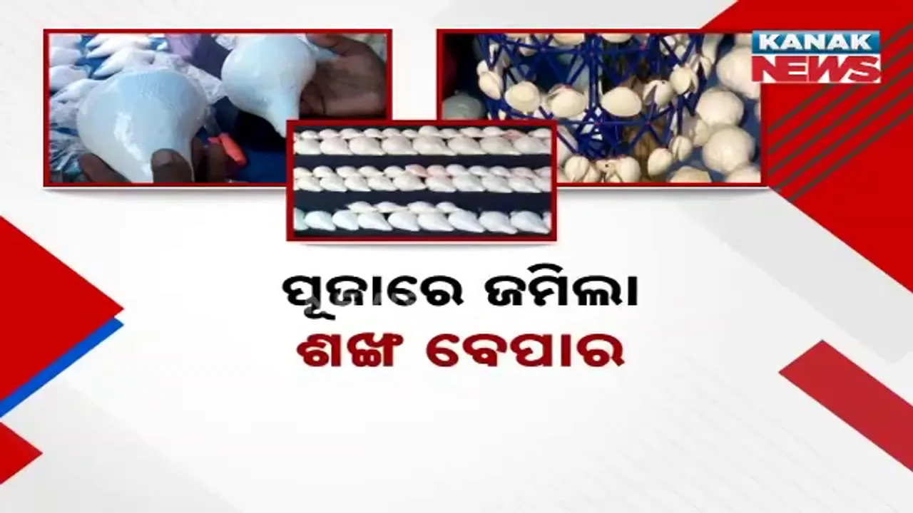  ପୂଜାରେ ଜମିଲା ଶଙ୍ଖ ବେପାର, ବ୍ୟବସାୟୀ ହେଲେ ମାଲାମାଲ