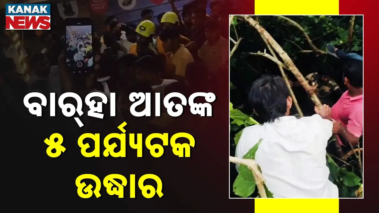  ବାର୍‌ହା କବଳରୁ ମୁକୁଳିଲେ ୫ ପର୍ଯ୍ୟଟକ ; ଉଦ୍ଧାର କଲେ ପୁଲିସ ଓ ବନ କର୍ମଚାରୀ