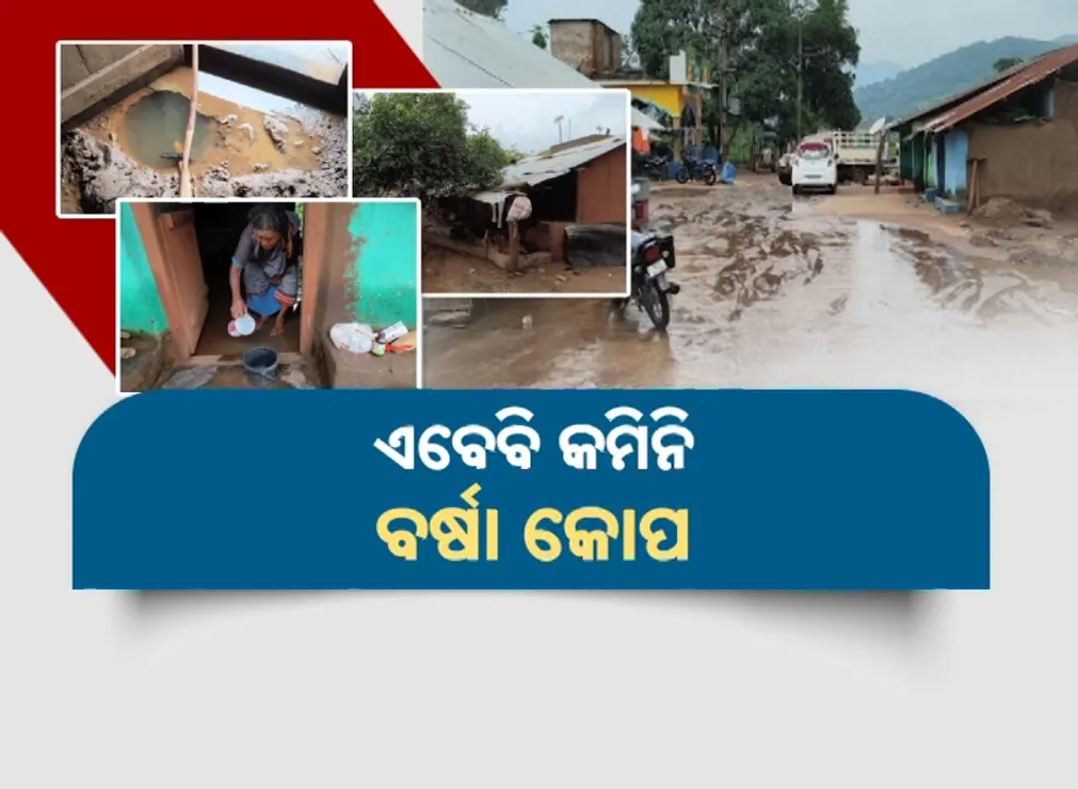  ଏବେବି କମିନି ବର୍ଷା କୋପ: ଘରୁ ଶୁଖୁନି ପାହାଡ଼ୀ ପାଣି, ଉଜୁଡ଼ିଗଲା ମକା ଆଉ ଧାନ ଫସଲ