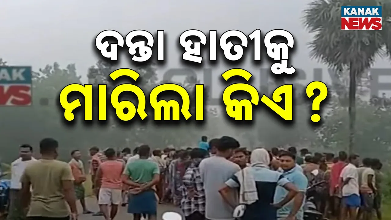  ଦେବଗଡ଼ ରିଆମାଳ ବନାଞ୍ଚଳରେ ଦନ୍ତା ମୃତଦେହ ଠାବ ; ହାତୀକୁ ମାରିଲା କିଏ, ଉଠିଲା ପ୍ରଶ୍ନ