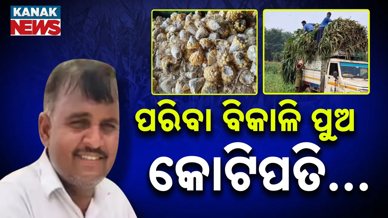  କୋଟିପତି କରିଦେଲା ଅଳିଆ-ଆବର୍ଜନା; ବର୍ଜ୍ୟବସ୍ତୁ ଦେଖାଇଲା ରୋଜଗାରର ବାଟ