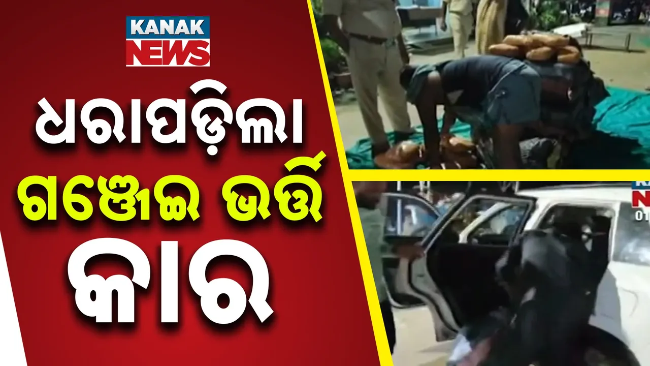  କାରରେ ଯାଉଥିଲା ବସ୍ତା ବସ୍ତା ଗଂଜେଇ ; ମାଡ଼ିବସିଲା ପୁଲିସ