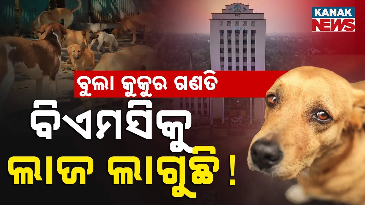  ବାଟବଣା ବିଏମସିର ବୁଲା କୁକୁର ଗଣତି, ସଂଖ୍ୟା ଦେବାକୁ ବାବୁ ନାରାଜ !