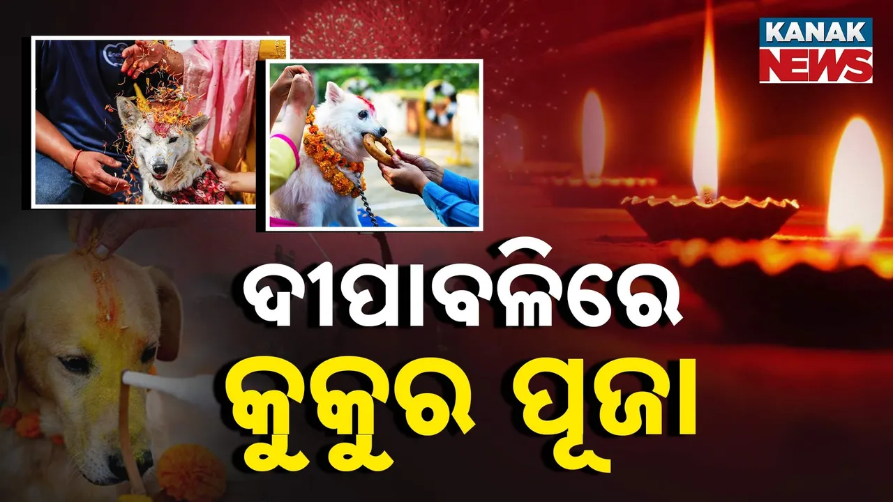  ଭିନ୍ନ ଦେଶର ଭିନ୍ନ ପରମ୍ପରା, କିଏ କେଉଁ ଉପଚାରରେ ପାଳନ୍ତି ଦୀପାବଳି, ଏଠି କିନ୍ତୁ ଦୀପାବଳିରେ କରାଯାଏ କୁକୁର ପୂଜା