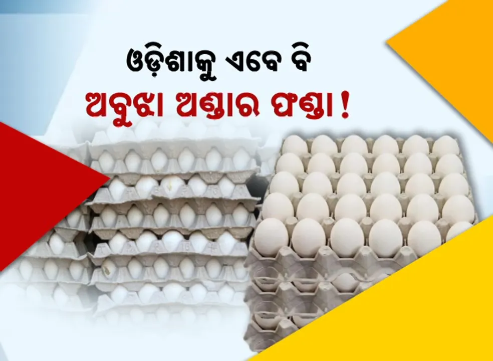  ଓଡ଼ିଶାକୁ ଏବେ ବି ଅବୁଝା ଅଣ୍ଡାର ଫଣ୍ଡା ! କେବେ ଦୂରେଇବ ନିଅଣ୍ଟିଆ ସ୍ଥିତି?