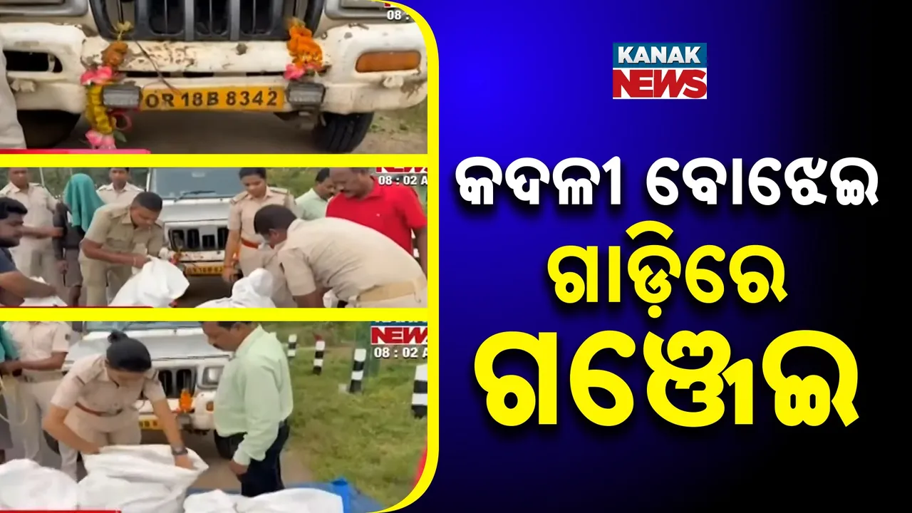  କଦଳୀ ବୋଝେଇ ଗାଡ଼ିରେ ଗଞ୍ଜେଇ Photograph: (KanakNews) 
