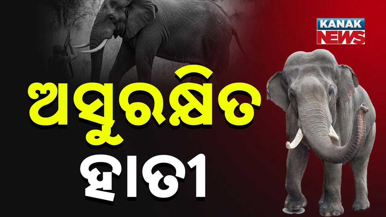  ଜାତୀୟ ରାଜପଥରେ ଭୟଙ୍କର ଜାମ୍ Photograph: (KanakNews) 